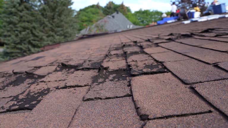 Best Roof Insulation Installation  in Morristown, IN
